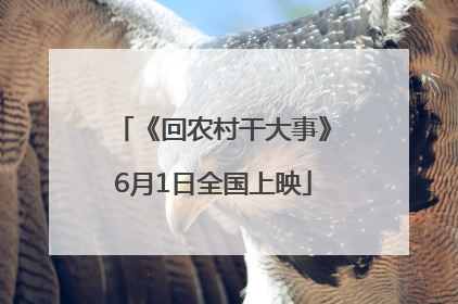 《回农村干大事》6月1日全国上映