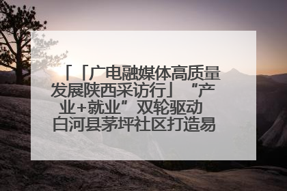 「广电融媒体高质量发展陕西采访行」“产业+就业”双轮驱动 白河县茅坪社区打造易地搬迁后扶新样本