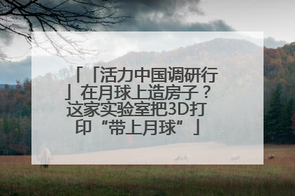 「活力中国调研行」在月球上造房子？这家实验室把3D打印“带上月球”