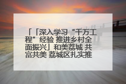 「深入学习“千万工程”经验 推进乡村全面振兴」和美荔城 共富共美 荔城区扎实推进乡村振兴工作
