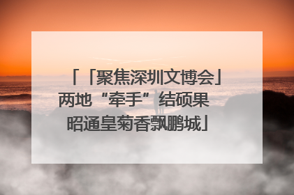 「聚焦深圳文博会」两地“牵手”结硕果 昭通皇菊香飘鹏城