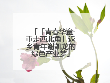 「青春华章·重走西北角」返乡青年谢凯龙的绿色产业梦