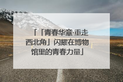 「青春华章·重走西北角」闪耀在博物馆里的青春力量