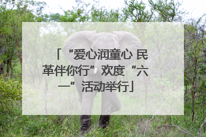 “爱心润童心 民革伴你行”欢度“六一”活动举行
