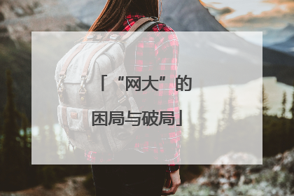 “网大”的困局与破局