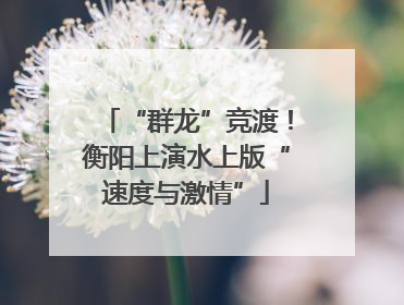 “群龙”竞渡！衡阳上演水上版“速度与激情”