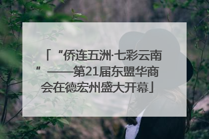 “侨连五洲·七彩云南”——第21届东盟华商会在德宏州盛大开幕