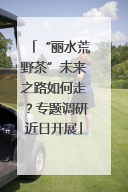“丽水荒野茶”未来之路如何走？专题调研近日开展