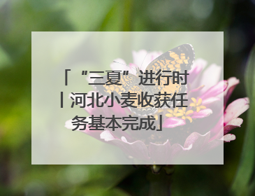 “三夏”进行时丨河北小麦收获任务基本完成