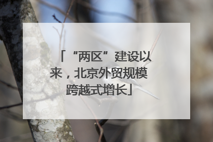 “两区”建设以来，北京外贸规模跨越式增长
