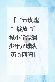“五玫瑰”绽放 新城小学混编少年足球队勇夺四强