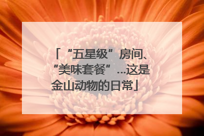 “五星级”房间、“美味套餐”…这是金山动物的日常