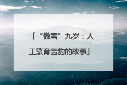 “傲雪”九岁：人工繁育雪豹的故事