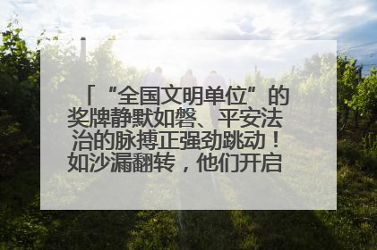 “全国文明单位”的奖牌静默如磐、平安法治的脉搏正强劲跳动！如沙漏翻转，他们开启了全新的计时