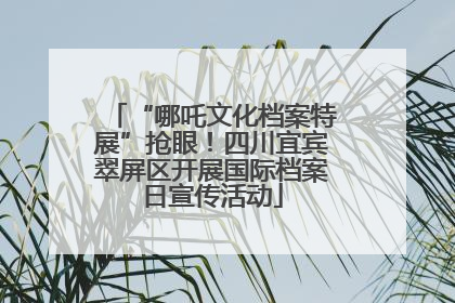 “哪吒文化档案特展”抢眼！四川宜宾翠屏区开展国际档案日宣传活动
