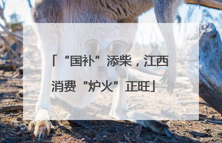 “国补”添柴，江西消费“炉火”正旺