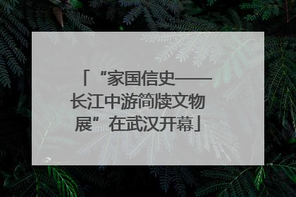 “家国信史——长江中游简牍文物展”在武汉开幕