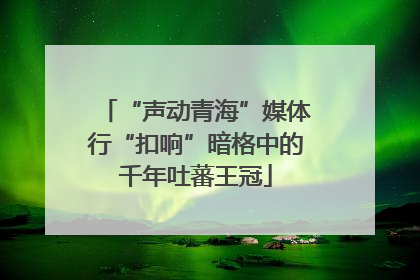 “声动青海”媒体行“扣响”暗格中的千年吐蕃王冠