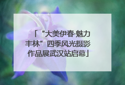 “大美伊春·魅力丰林”四季风光摄影作品展武汉站启幕