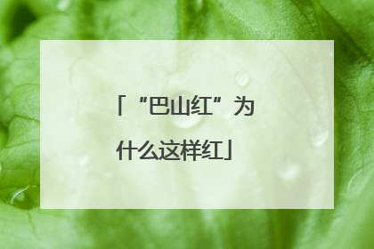 “巴山红”为什么这样红
