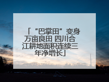 “巴掌田”变身万亩良田 四川合江耕地面积连续三年净增长