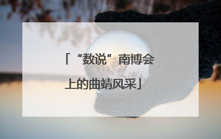 “数说”南博会上的曲靖风采
