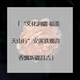 “文化润疆·福茶天山行”安溪铁观音香飘新疆昌吉
