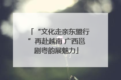 “文化走亲东盟行”再赴越南 广西邕剧粤韵展魅力