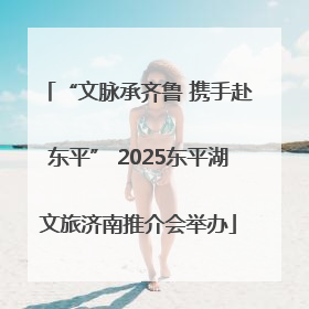 “文脉承齐鲁 携手赴东平” 2025东平湖文旅济南推介会举办