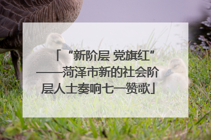 “新阶层 党旗红”——菏泽市新的社会阶层人士奏响七一赞歌