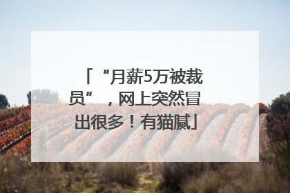 “月薪5万被裁员”，网上突然冒出很多！有猫腻