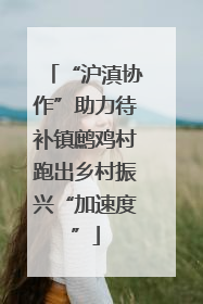 “沪滇协作”助力待补镇鹧鸡村跑出乡村振兴“加速度”