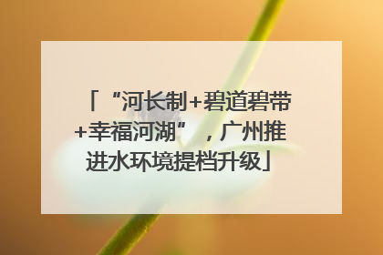 “河长制+碧道碧带+幸福河湖”，广州推进水环境提档升级