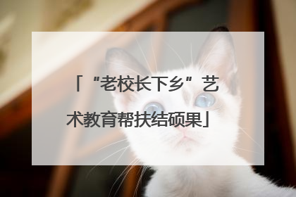 “老校长下乡”艺术教育帮扶结硕果