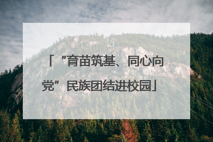 “育苗筑基、同心向党”民族团结进校园