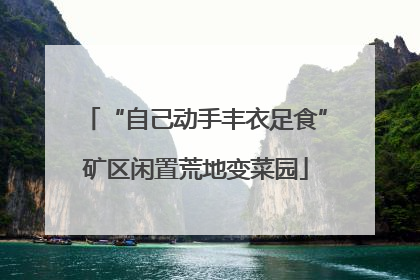 “自己动手丰衣足食”矿区闲置荒地变菜园