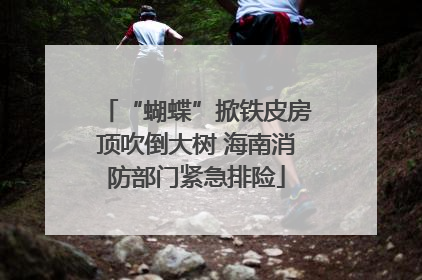 “蝴蝶”掀铁皮房顶吹倒大树 海南消防部门紧急排险