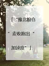 “豫北粮仓”麦收跑出“加速度”