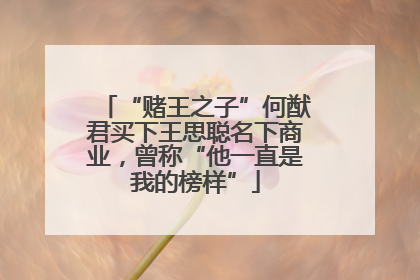 “赌王之子”何猷君买下王思聪名下商业，曾称“他一直是我的榜样”