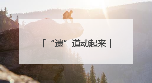 “遗”道动起来｜“芒”有所“种”，一举“糕”中！在桨影拳风里，邂逅最“动”人的风景！（内含报名信息）
