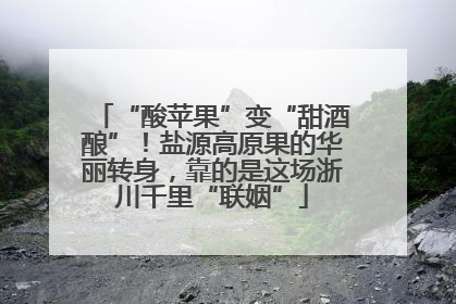 “酸苹果”变“甜酒酿”！盐源高原果的华丽转身，靠的是这场浙川千里“联姻”