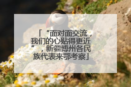 “面对面交流，我们的心贴得更近”，新疆博州各民族代表来鄂考察