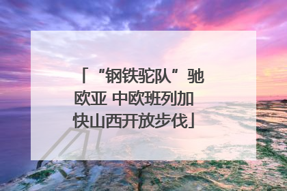 “钢铁驼队”驰欧亚 中欧班列加快山西开放步伐