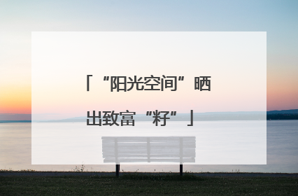 “阳光空间”晒出致富“籽”