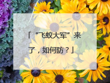 “飞蚁大军”来了，如何防？