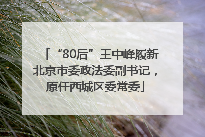 “80后”王中峰履新北京市委政法委副书记，原任西城区委常委
