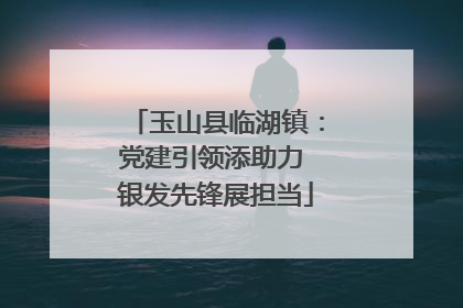 玉山县临湖镇：党建引领添助力 银发先锋展担当