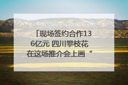 现场签约合作136亿元 四川攀枝花在这场推介会上画“图谱”列“清单”
