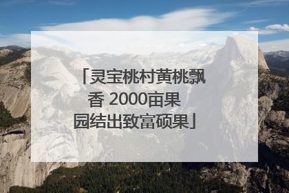灵宝桃村黄桃飘香 2000亩果园结出致富硕果