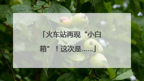 火车站再现“小白箱”！这次是……